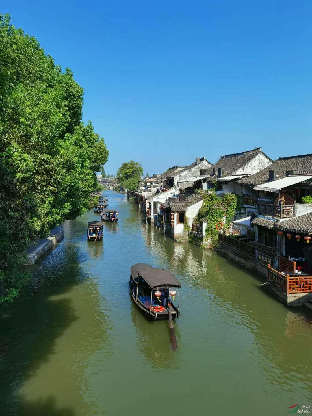 杨贵妃终身不育之谜：是安禄山造成的？做女人太辛苦，对自己太狠